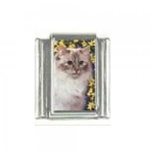 Cat - Persian cat (e) 9mm enamel Italian charm