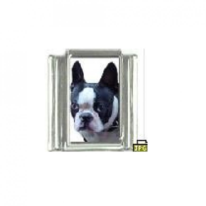 Dog charm - Boston Terrier 1 - 9mm Italian charm - Click Image to Close