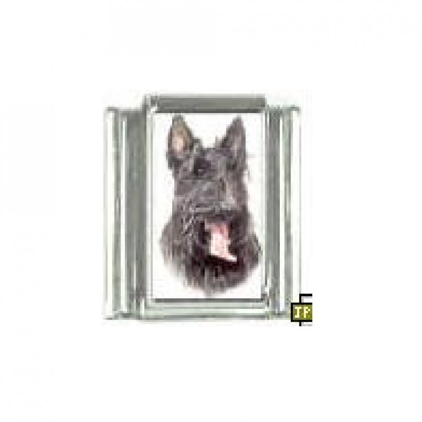 Dog charm - Scottish Terrier 3 - 9mm Italian charm - Click Image to Close