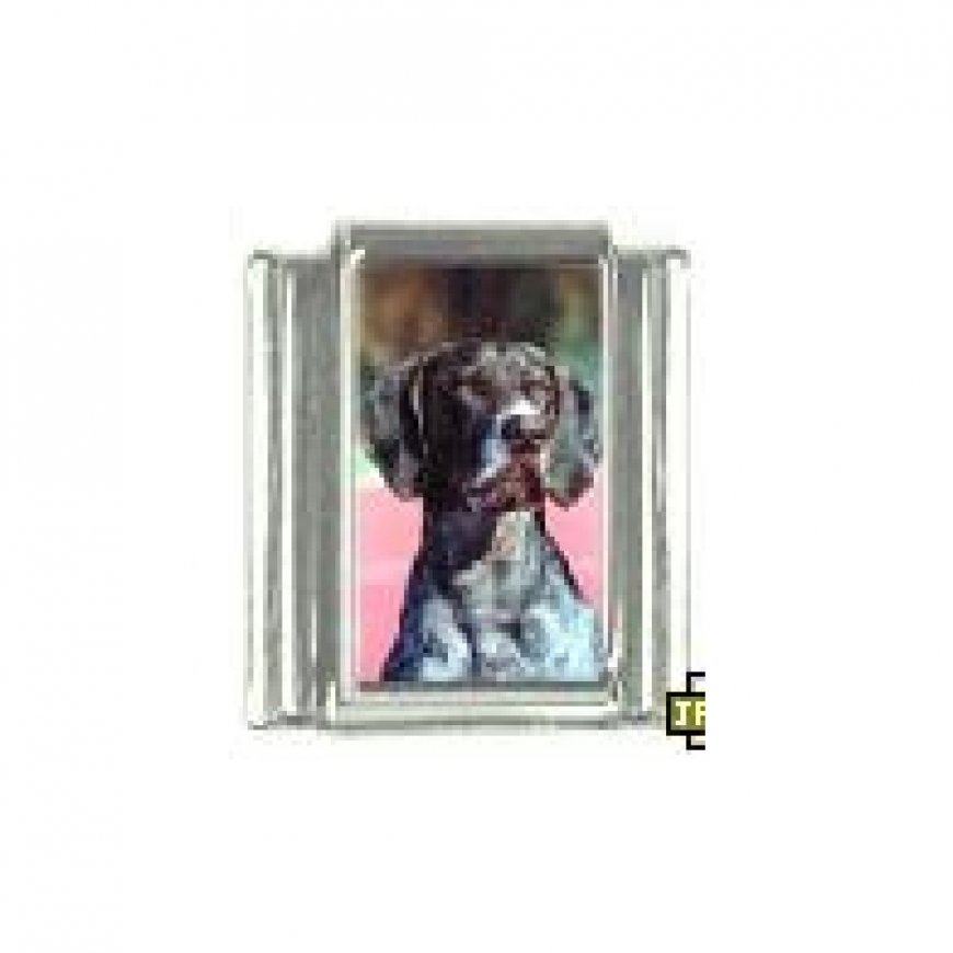 Dog charm - German Shorthaired Pointer 4 - 9mm Italian charm - Click Image to Close