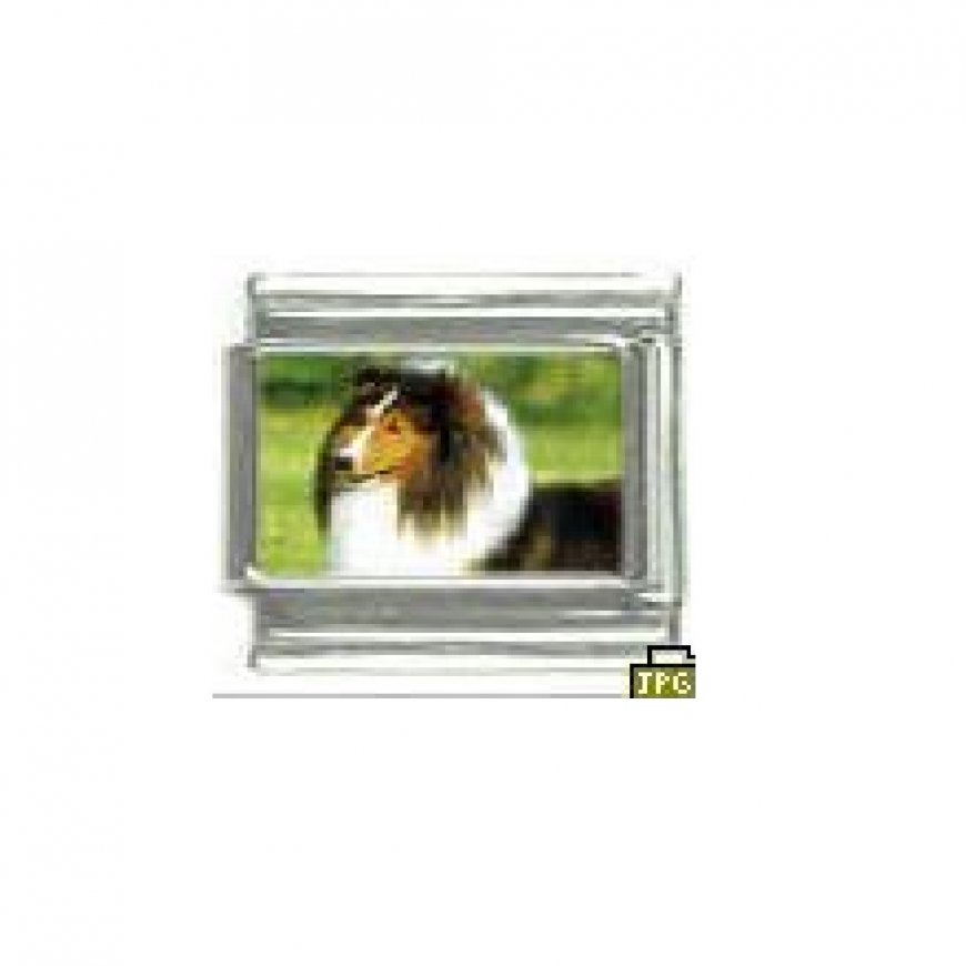 Dog charm - Sheltie sheepdog 3 - 9mm Italian charm - Click Image to Close