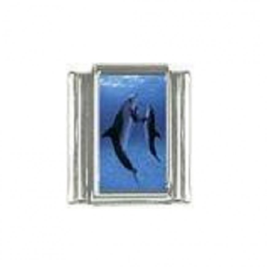 Dolphin (r) photo 9mm Italian charm - Click Image to Close
