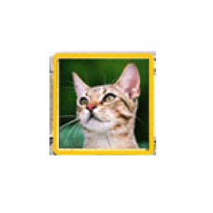 Cat - tabby cat (a) enamel 9mm Italian charm
