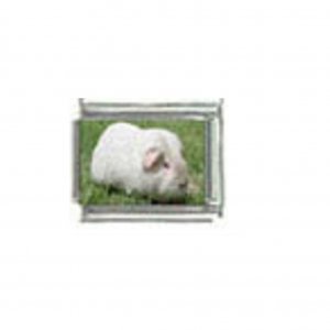 Guinea pig (i) photo charm - 9mm Italian charm