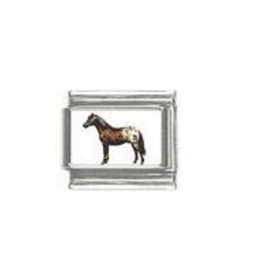 Horse (l) - photo 9mm Italian charm - Click Image to Close