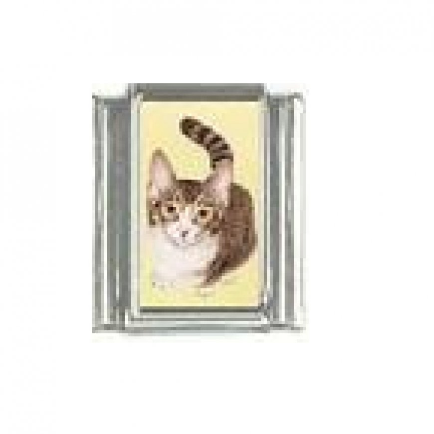 Cat - standing photo 9mm Italian charm - Click Image to Close