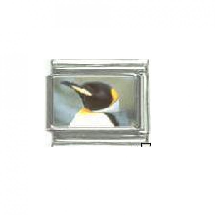 Penguin (a) - photo 9mm Italian Charm - Click Image to Close