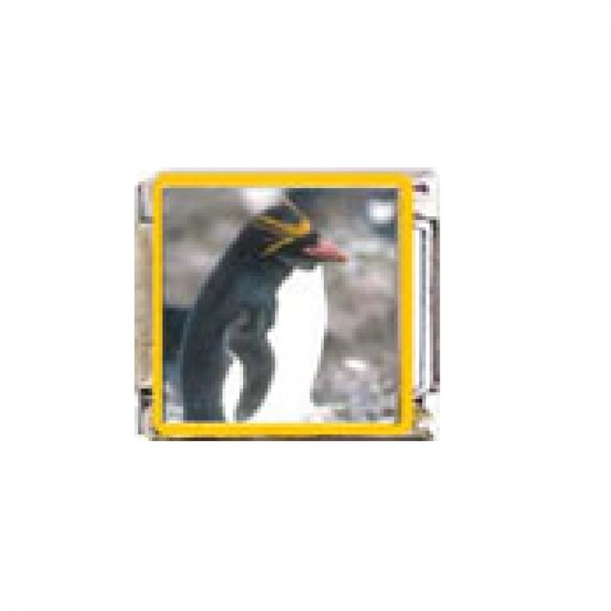 Penguin (ao) - enamel 9mm Italian charm - Click Image to Close