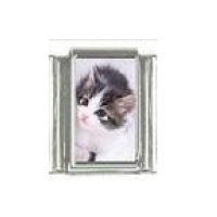 Cat - Kitten black and white 9mm photo Italian charm