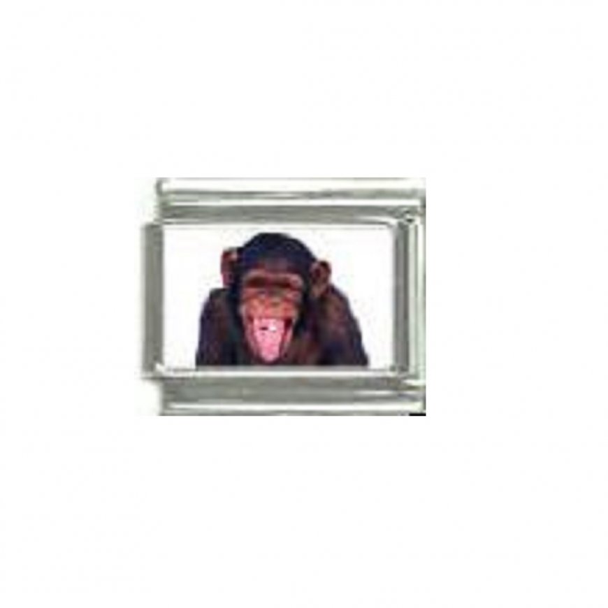 Chimpanzee - photo 9mm Italian charm - Click Image to Close