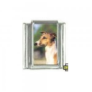 Dog charm - Greyhound 5 - 9mm Italian charm