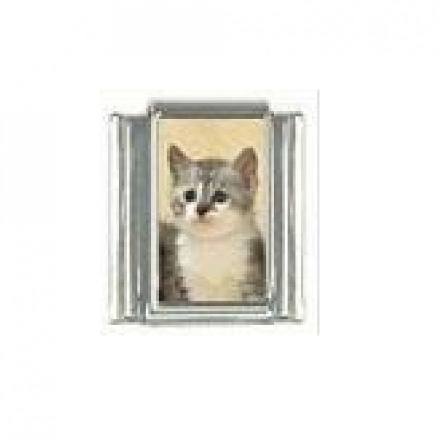 Cat - Grey and white kitten 9mm photo Italian charm - Click Image to Close