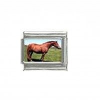 Horse (p) - photo 9mm Italian charm