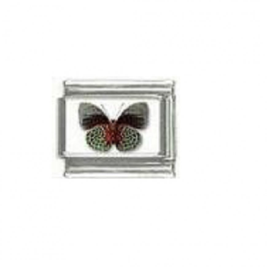 Butterfly photo a22 - 9mm Italian charm - Click Image to Close