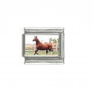 Horse (i) - photo 9mm Italian charm