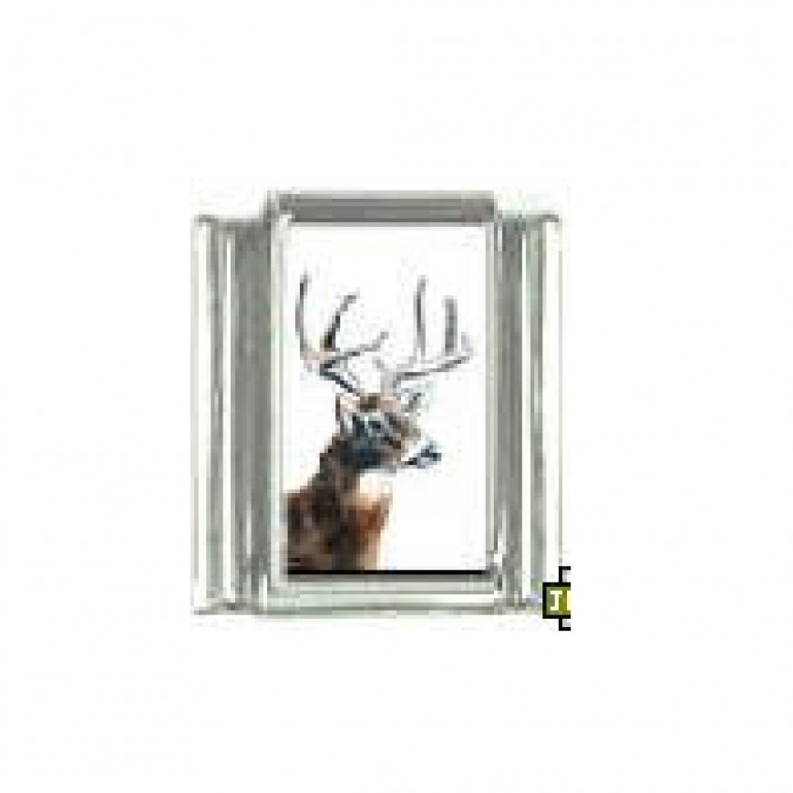 Reindeer - photo 9mm Italian charm - Click Image to Close