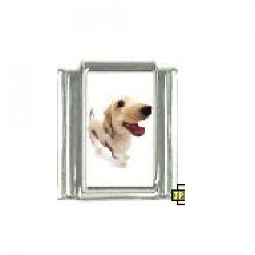 Dog charm - Afghan Hound 2 - 9mm Italian charm - Click Image to Close