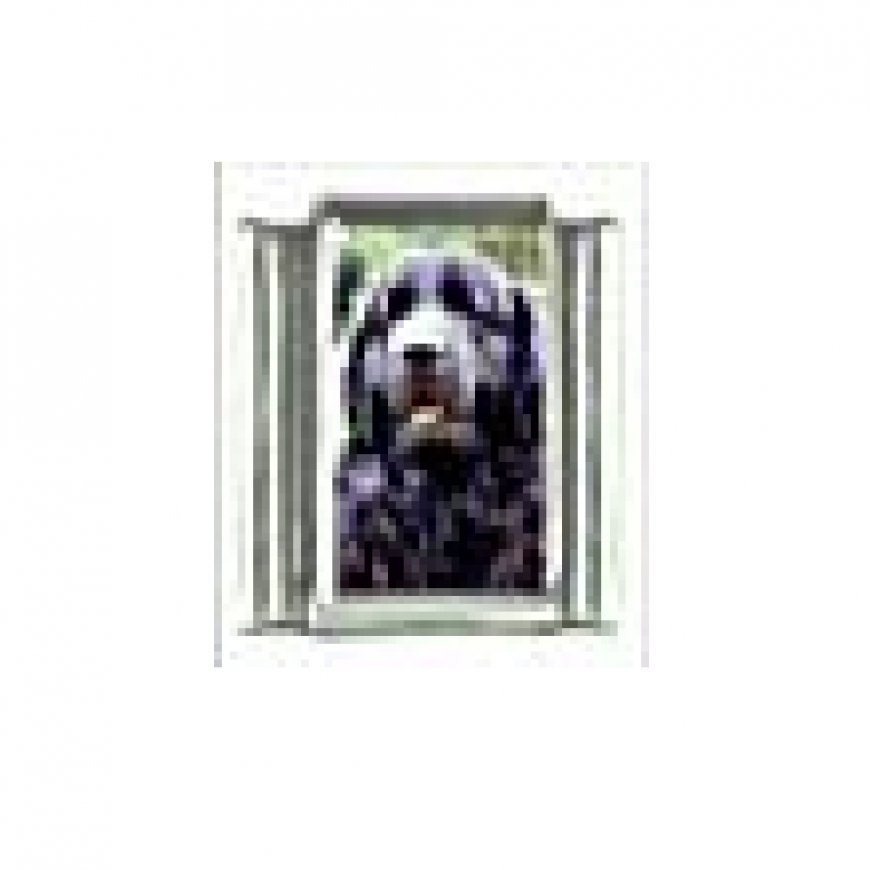 Dog charm - Newfoundland 3 - 9mm Italian charm - Click Image to Close