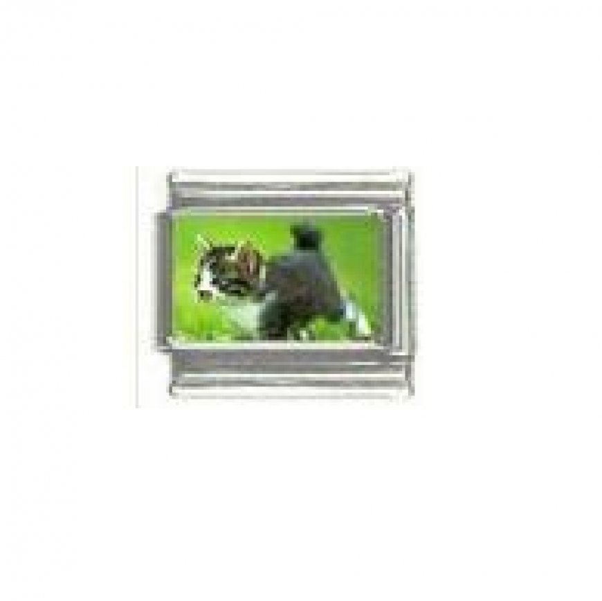 Cat - Black and white cat (a) photo 9mm Italian charm - Click Image to Close