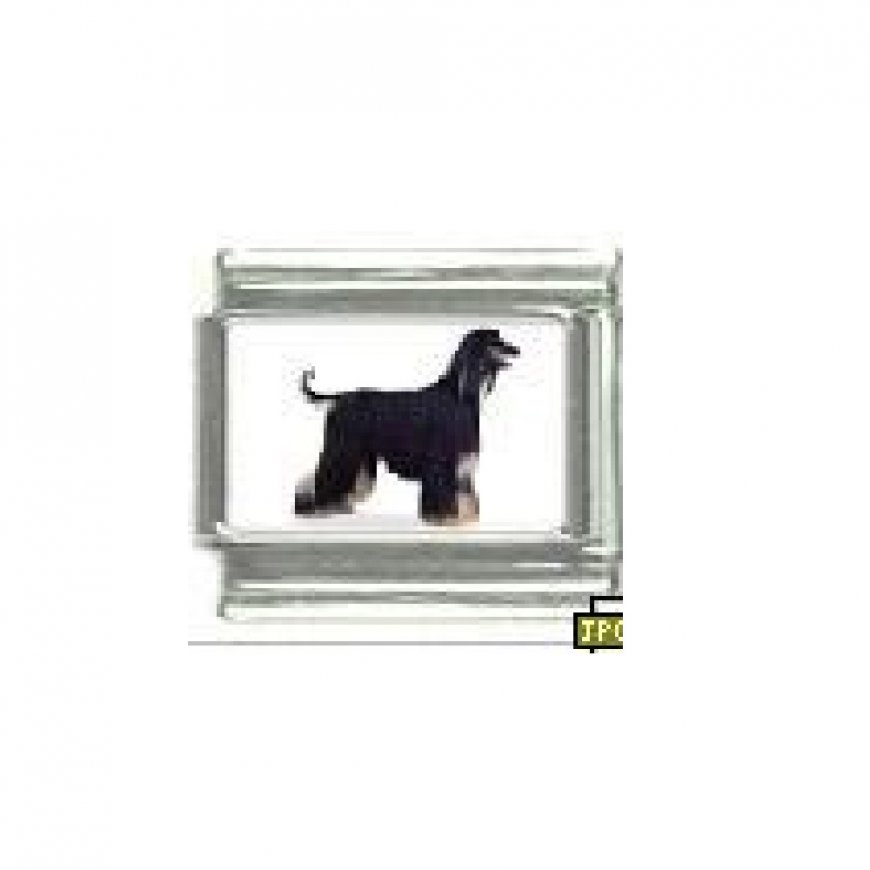 Dog charm - Afghan Hound 4 - 9mm Italian charm - Click Image to Close