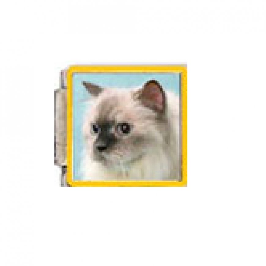 Cat - Himilayan cat 9mm Italian enamel charm - Click Image to Close
