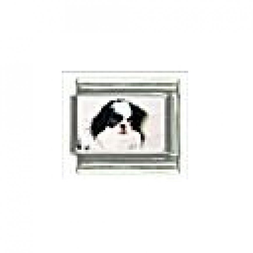 Dog charm - Japanese Chin 1 - 9mm Italian charm - Click Image to Close