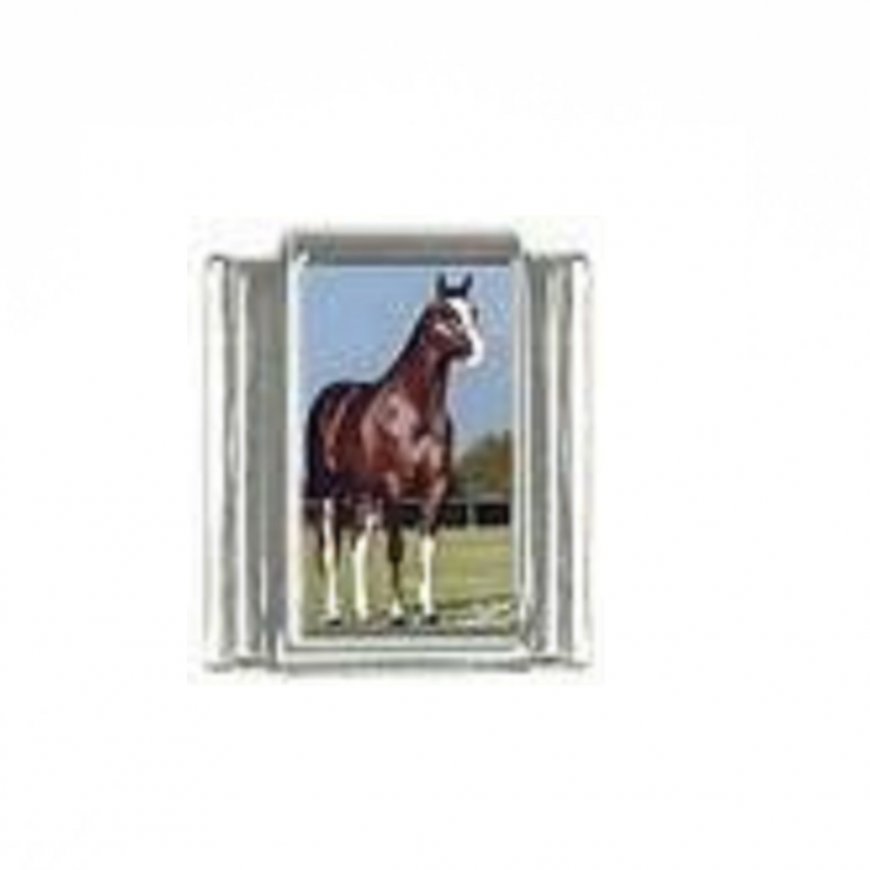 Horse (ab) - photo 9mm Italian charm - Click Image to Close