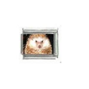 Hedgehog (l) photo - 9mm Italian charm