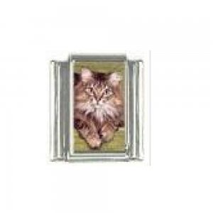 Cat - tabby cat (i) photo 9mm Italian charm