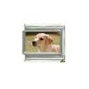 Dog charm - Labrador 3 golden - 9mm Italian charm