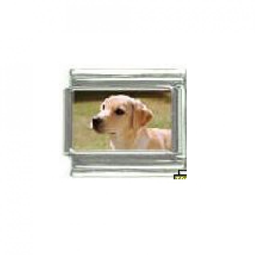 Dog charm - Labrador 3 golden - 9mm Italian charm - Click Image to Close