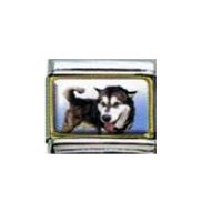 Husky dog - photo enamel 9mm Italian charm