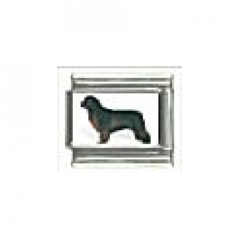 Dog charm - Newfoundland 1 - 9mm Italian charm - Click Image to Close