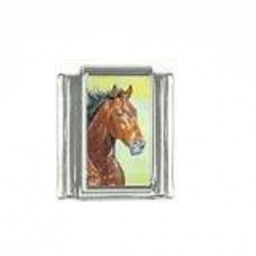 Horse (aa) - photo 9mm Italian charm - Click Image to Close