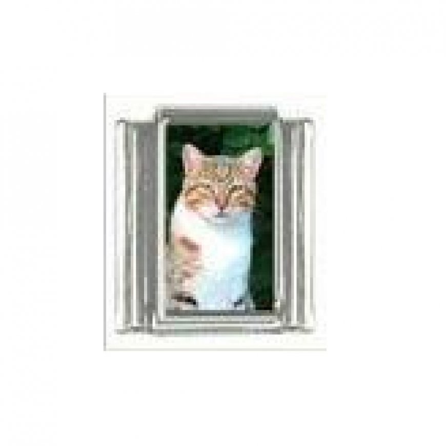 Cat - Ginger tabby cat (b) photo 9mm Italian charm - Click Image to Close