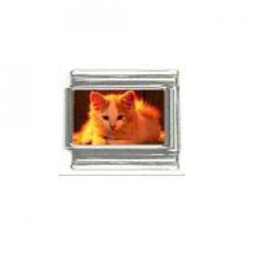 Cat - ginger tabby kitten photo 9mm Italian charm - Click Image to Close