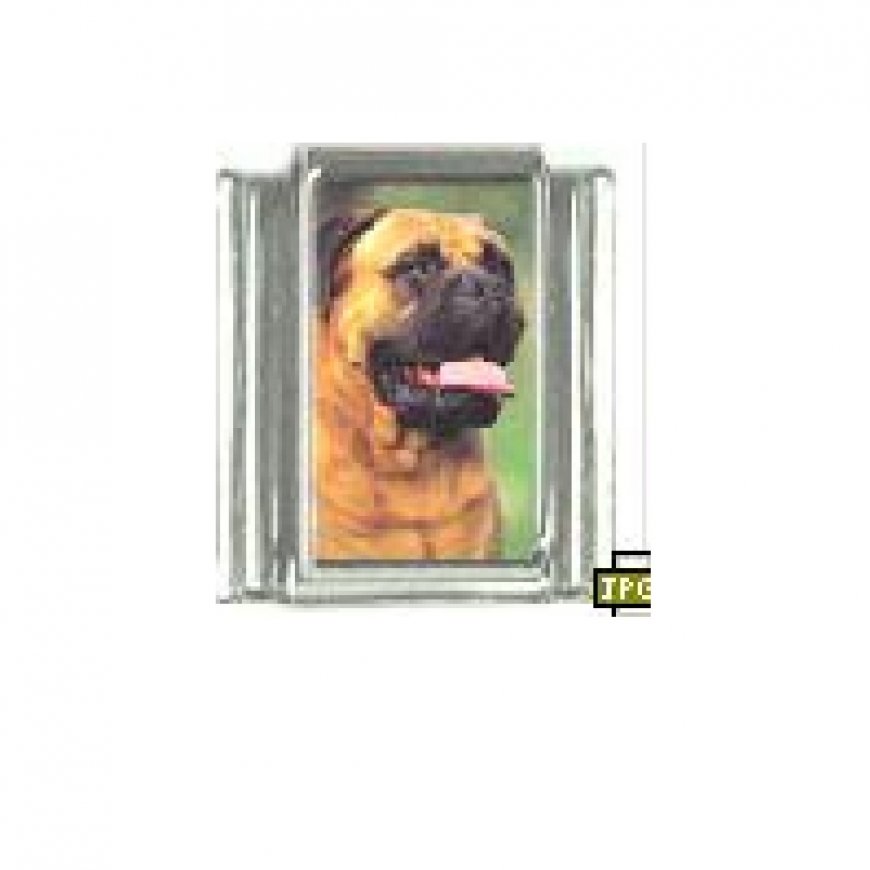 Dog charm - Bull Mastiff 3 - 9mm Italian charm - Click Image to Close