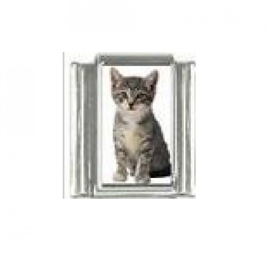 Cat - grey tabby cat (f) photo 9mm Italian charm - Click Image to Close