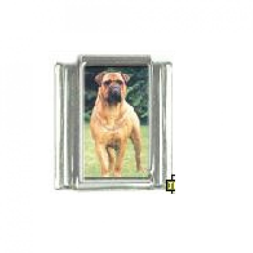 Dog charm - Bull Mastiff 4 - 9mm Italian charm - Click Image to Close