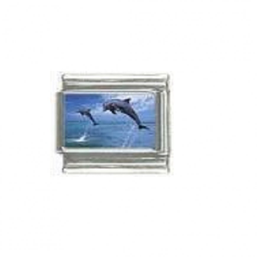 Dolphin (w) photo 9mm Italian charm - Click Image to Close