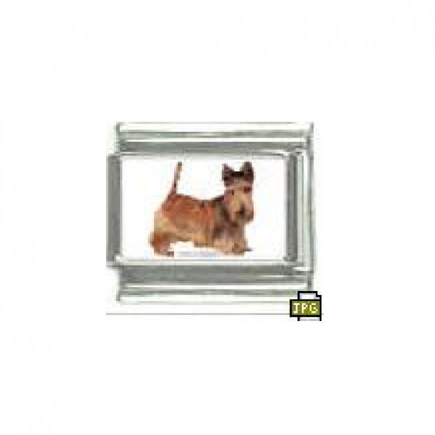 Dog charm - Scottish Terrier 1 - 9mm Italian charm - Click Image to Close