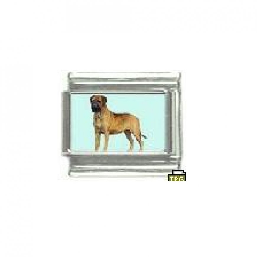 Dog charm - Bull Mastiff 1 - 9mm Italian charm - Click Image to Close