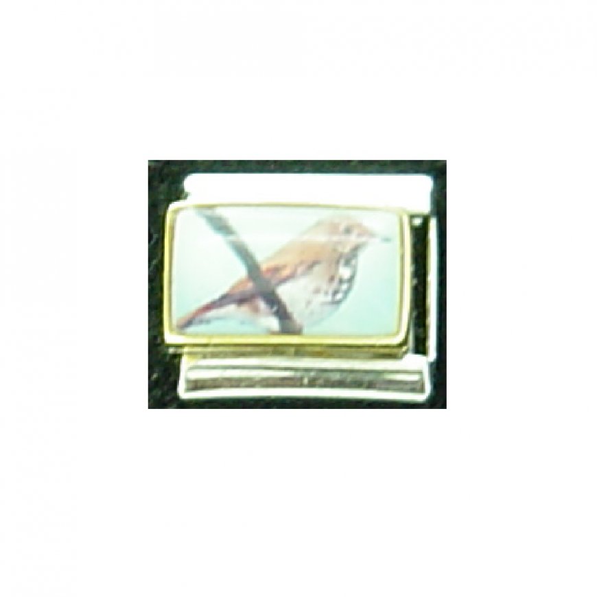 Thrush - bird - photo enamel 9mm Italian charm - Click Image to Close