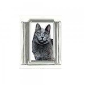 Cat - Grey cat (a) photo 9mm Italian charm