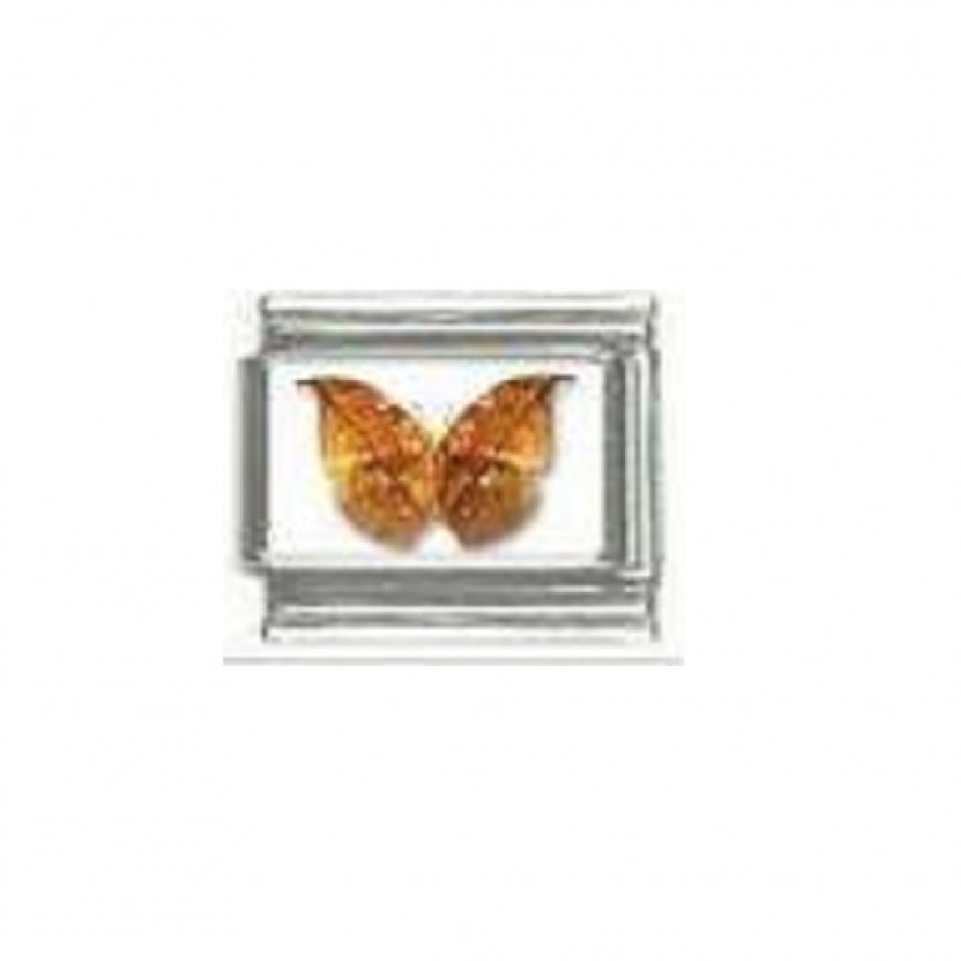 Butterfly photo a25 - 9mm Italian charm - Click Image to Close