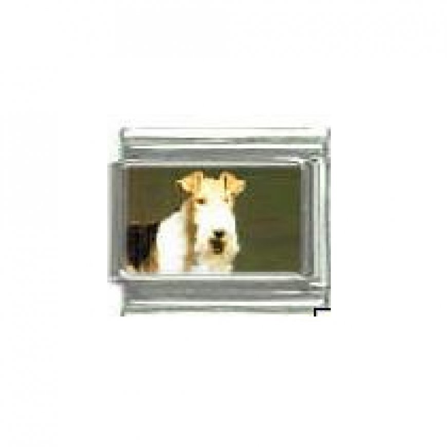 Dog charm - Fox Terrier 2 - 9mm Italian charm - Click Image to Close