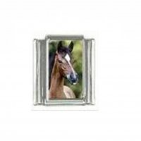 Horse (as) - photo 9mm Italian charm