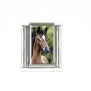 Horse (as) - photo 9mm Italian charm