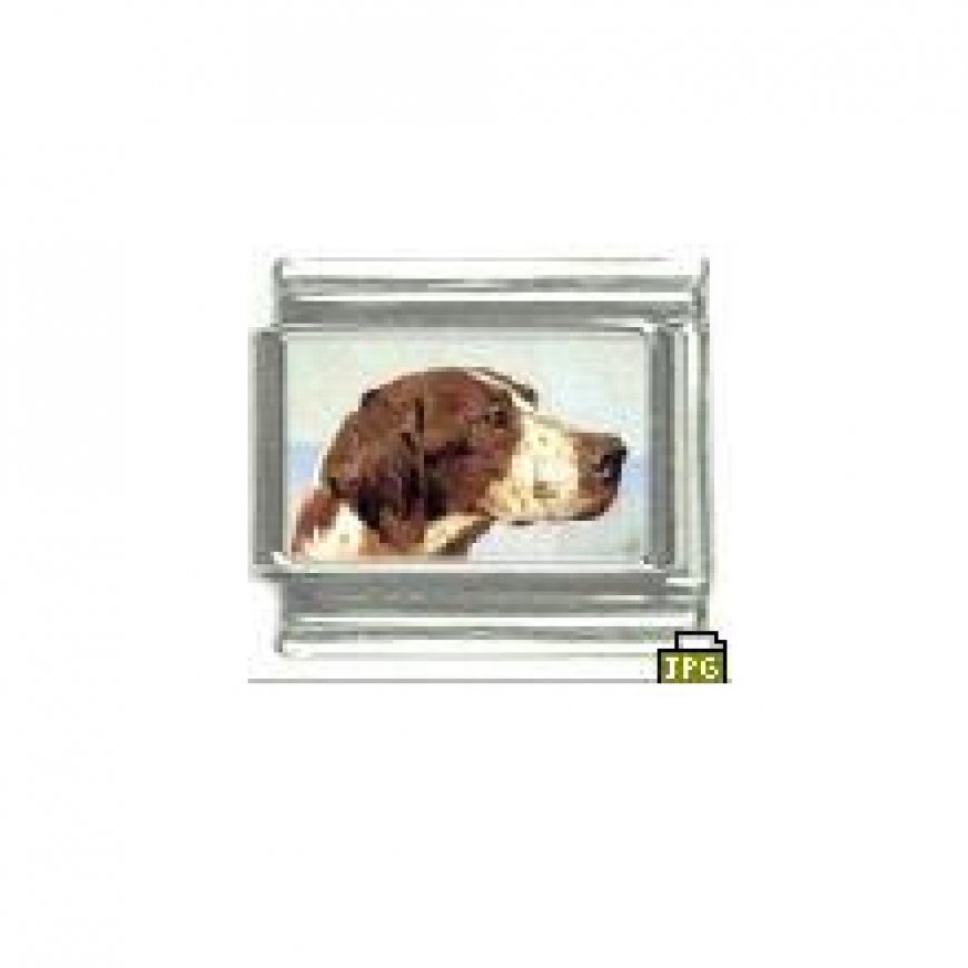 Dog charm - Pointer 5 - 9mm Italian charm - Click Image to Close