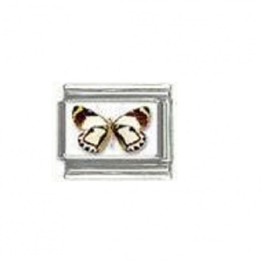 Butterfly photo a42 - 9mm Italian charm - Click Image to Close